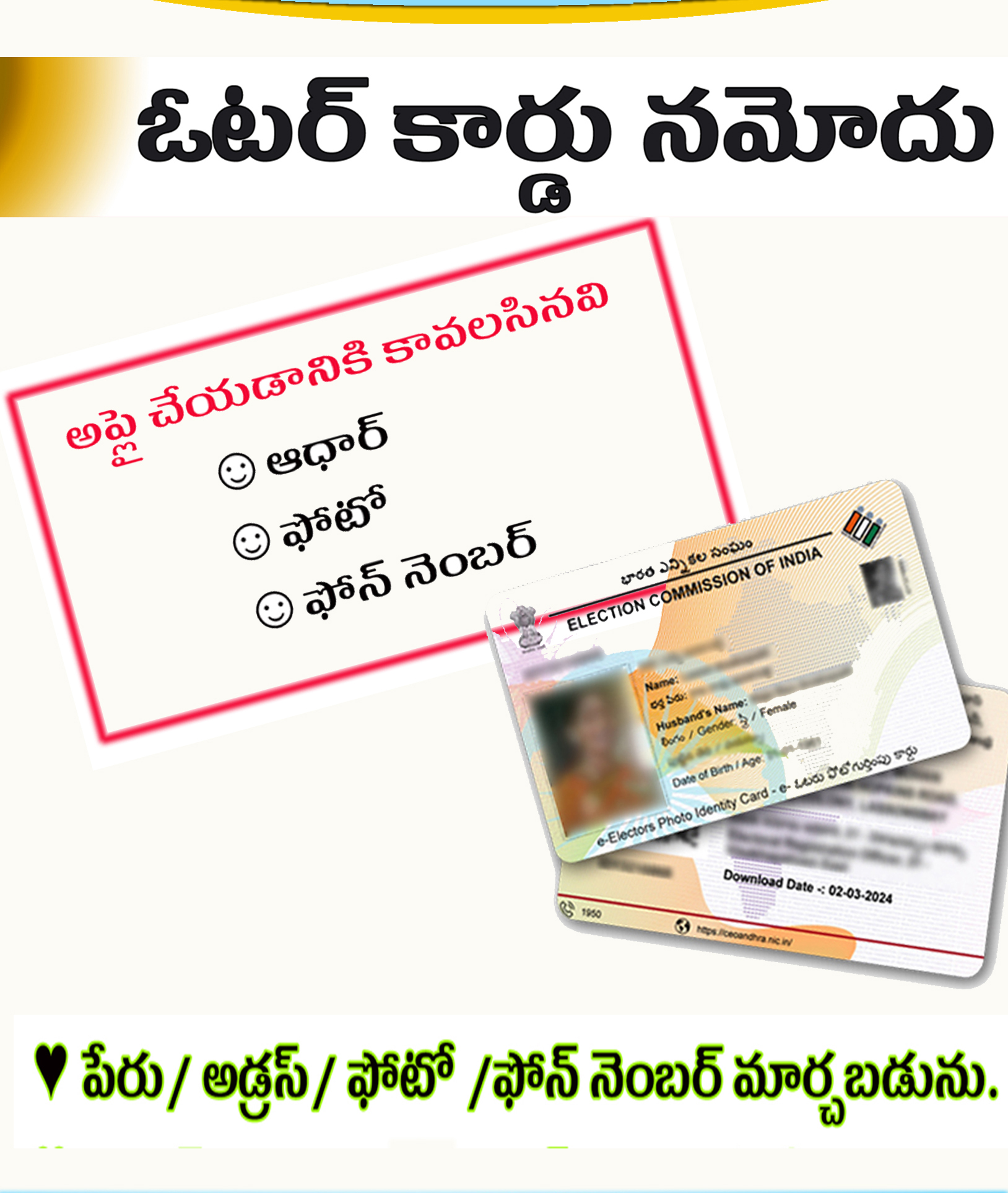 28 Voter